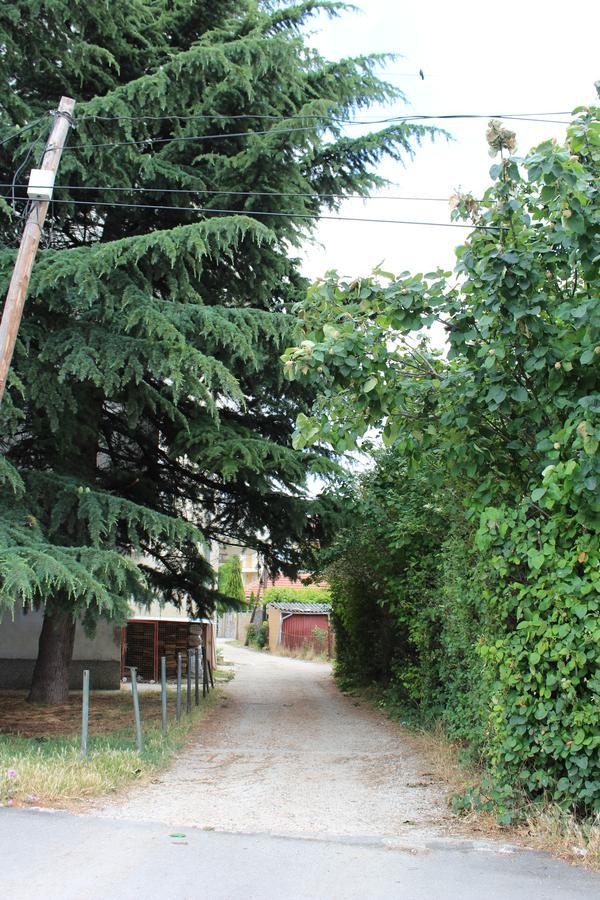 Two Bedroom Apartment Near Centre Ohri Dış mekan fotoğraf